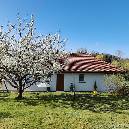 Apartament Izerskie Gaje Wojcieszyce Экстерьер фото
