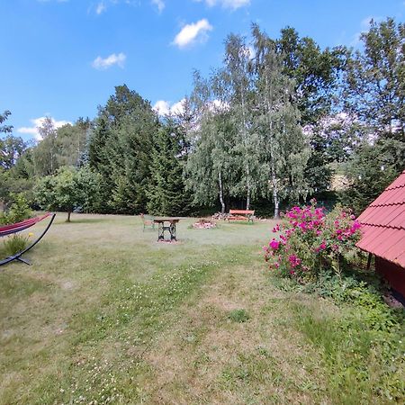 Apartament Izerskie Gaje Wojcieszyce Экстерьер фото