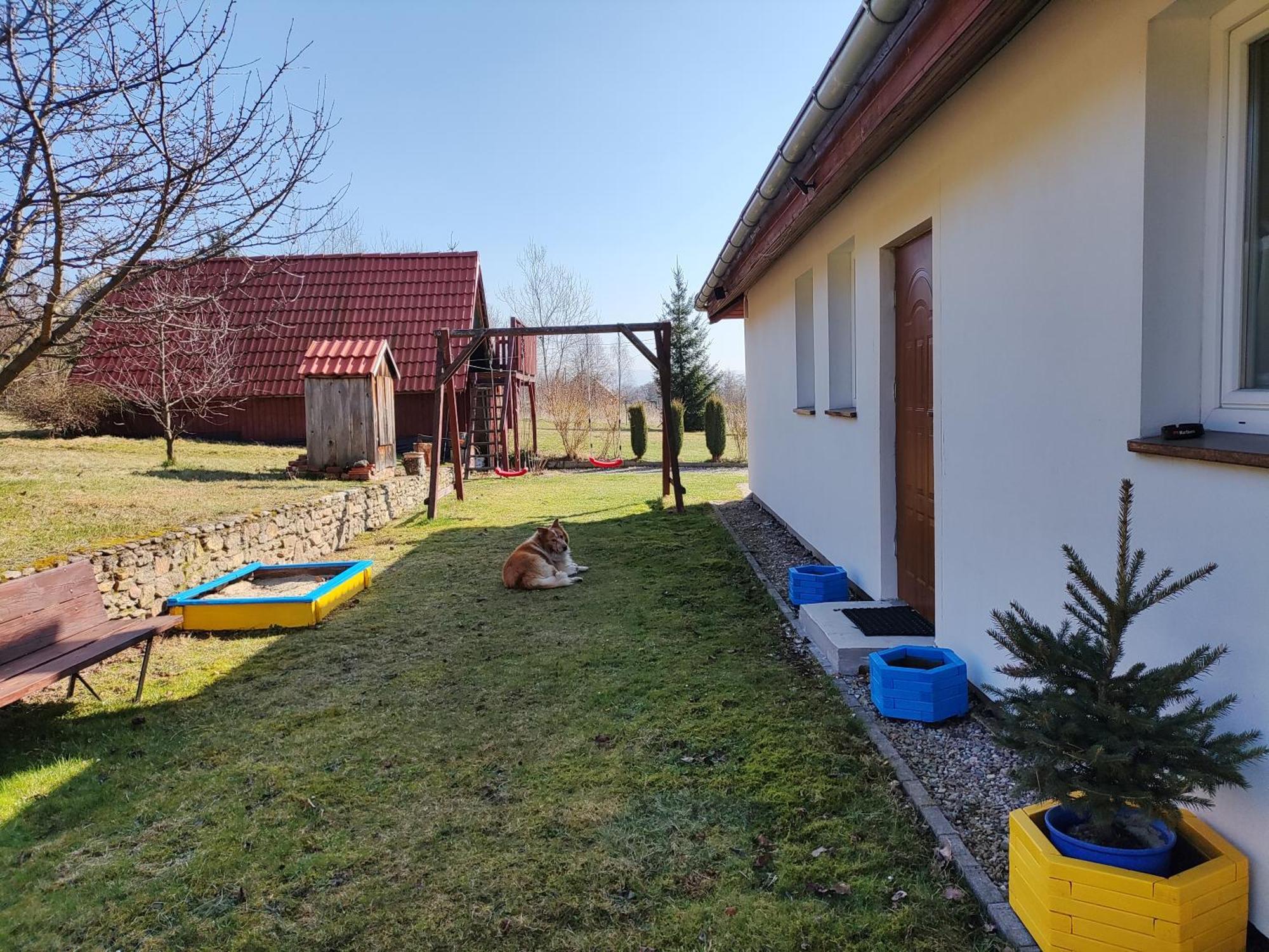 Apartament Izerskie Gaje Wojcieszyce Экстерьер фото