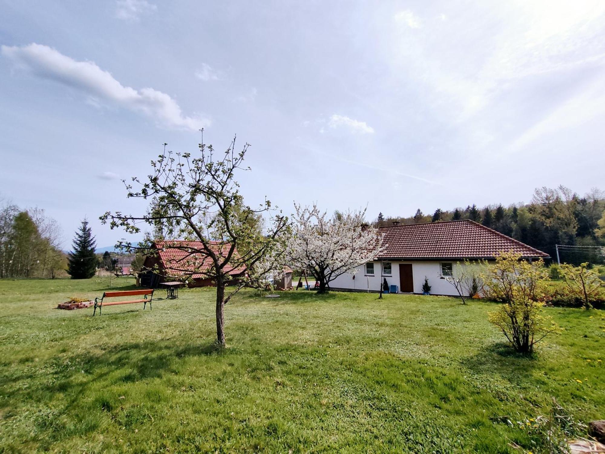 Apartament Izerskie Gaje Wojcieszyce Экстерьер фото